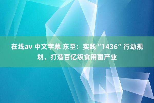 在线av 中文字幕 东至：实践“1436”行动规划，打造百亿级食用菌产业