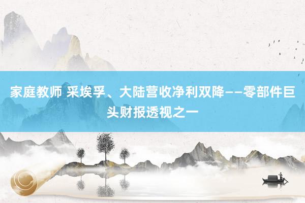 家庭教师 采埃孚、大陆营收净利双降——零部件巨头财报透视之一