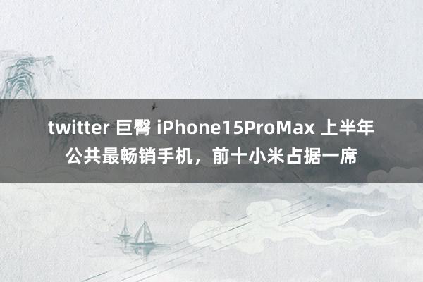 twitter 巨臀 iPhone15ProMax 上半年公共最畅销手机，前十小米占据一席