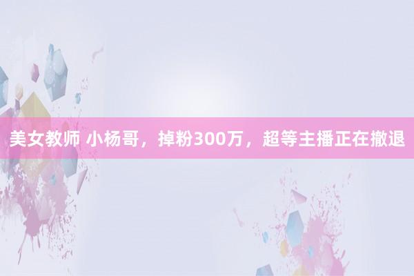 美女教师 小杨哥，掉粉300万，超等主播正在撤退