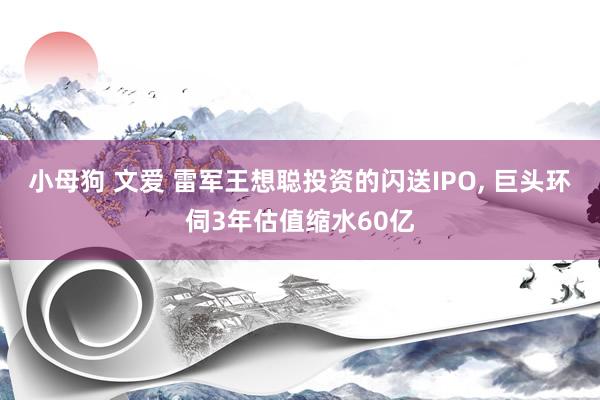 小母狗 文爱 雷军王想聪投资的闪送IPO， 巨头环伺3年估值缩水60亿