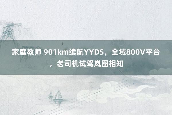 家庭教师 901km续航YYDS，全域800V平台，老司机试驾岚图相知