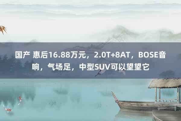 国产 惠后16.88万元，2.0T+8AT，BOSE音响，气场足，中型SUV可以望望它