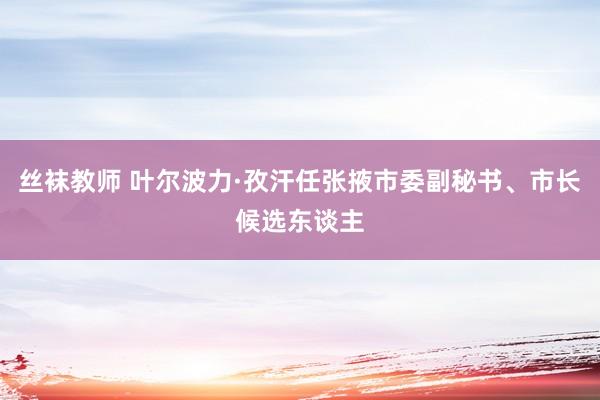 丝袜教师 叶尔波力·孜汗任张掖市委副秘书、市长候选东谈主