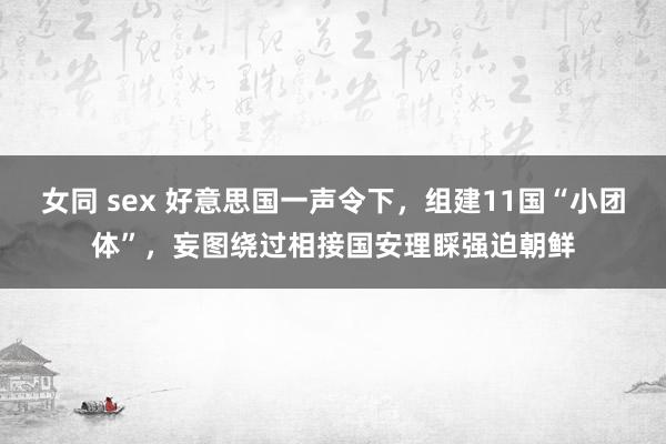 女同 sex 好意思国一声令下，组建11国“小团体”，妄图绕过相接国安理睬强迫朝鲜