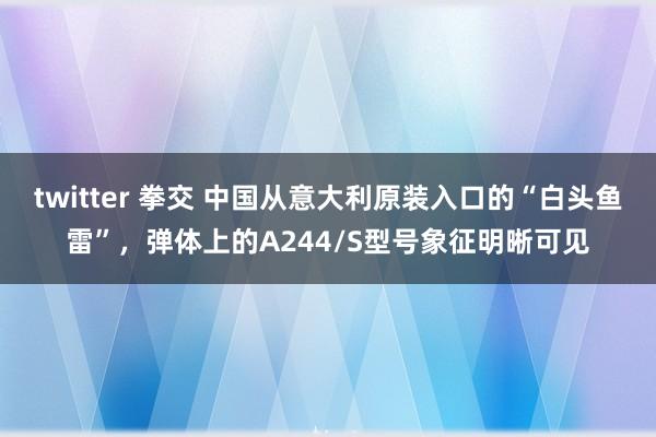 twitter 拳交 中国从意大利原装入口的“白头鱼雷”，弹体上的A244/S型号象征明晰可见