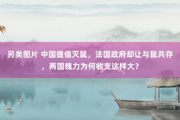 另类图片 中国提倡灭鼠，法国政府却让与鼠共存，两国魄力为何收支这样大？