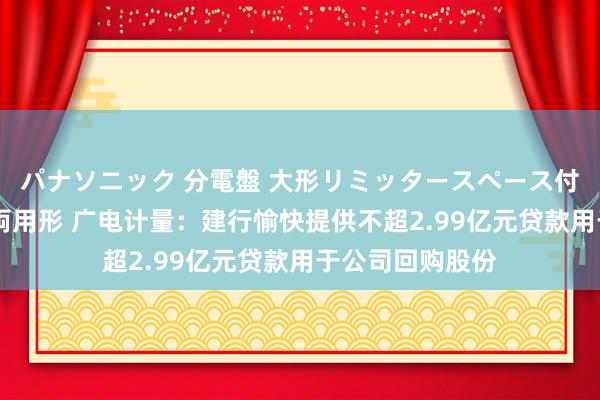 パナソニック 分電盤 大形リミッタースペース付 露出・半埋込両用形 广电计量：建行愉快提供不超2.99亿元贷款用于公司回购股份