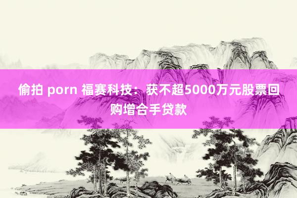 偷拍 porn 福赛科技：获不超5000万元股票回购增合手贷款