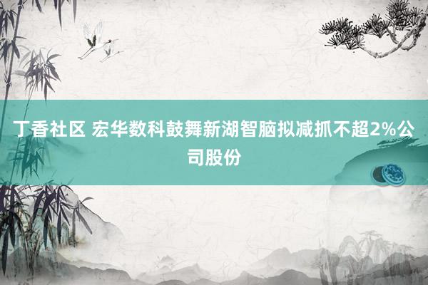 丁香社区 宏华数科鼓舞新湖智脑拟减抓不超2%公司股份