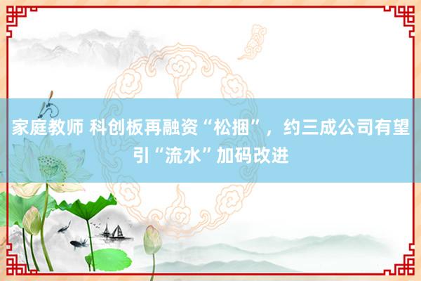 家庭教师 科创板再融资“松捆”，约三成公司有望引“流水”加码改进