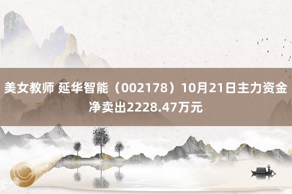 美女教师 延华智能（002178）10月21日主力资金净卖出2228.47万元