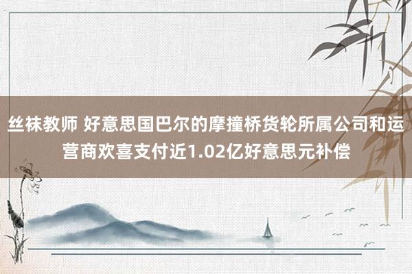 丝袜教师 好意思国巴尔的摩撞桥货轮所属公司和运营商欢喜支付近1.02亿好意思元补偿