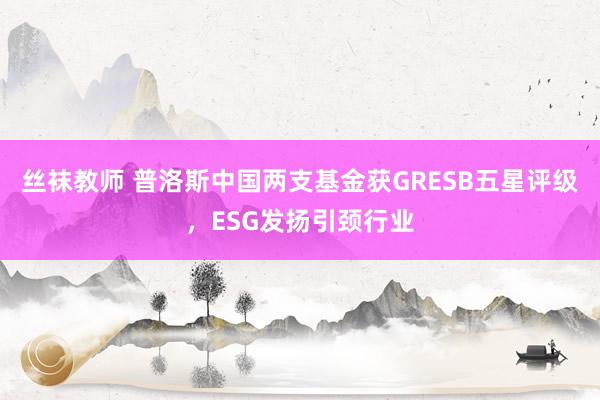 丝袜教师 普洛斯中国两支基金获GRESB五星评级，ESG发扬引颈行业