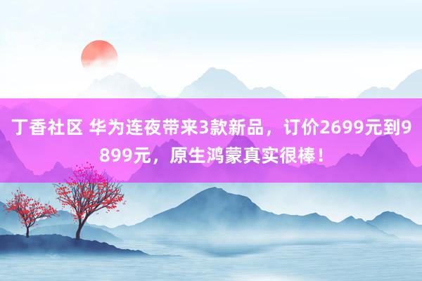 丁香社区 华为连夜带来3款新品，订价2699元到9899元，原生鸿蒙真实很棒！