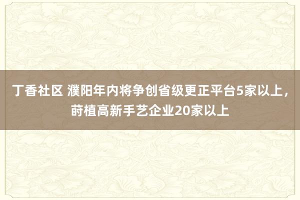 丁香社区 濮阳年内将争创省级更正平台5家以上，莳植高新手艺企业20家以上