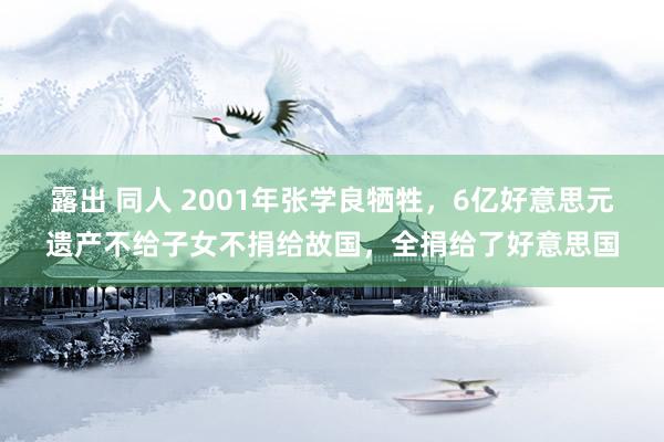 露出 同人 2001年张学良牺牲，6亿好意思元遗产不给子女不捐给故国，全捐给了好意思国