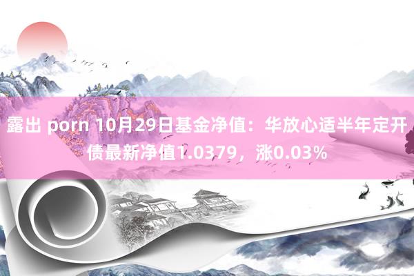 露出 porn 10月29日基金净值：华放心适半年定开债最新净值1.0379，涨0.03%