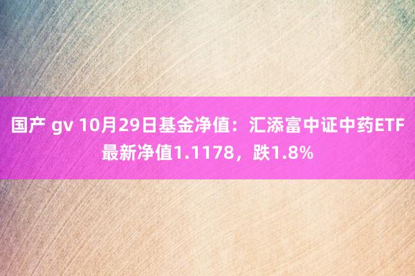 国产 gv 10月29日基金净值：汇添富中证中药ETF最新净值1.1178，跌1.8%