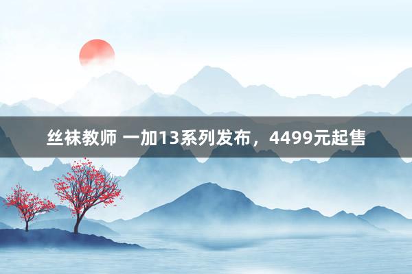 丝袜教师 一加13系列发布，4499元起售