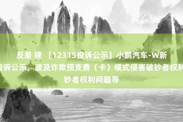 反差 裸 【12315投诉公示】小鹏汽车-W新增5件投诉公示，波及诈欺预支费（卡）模式侵害破钞者权利问题等