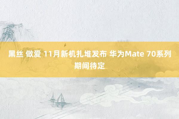 黑丝 做爱 11月新机扎堆发布 华为Mate 70系列期间待定