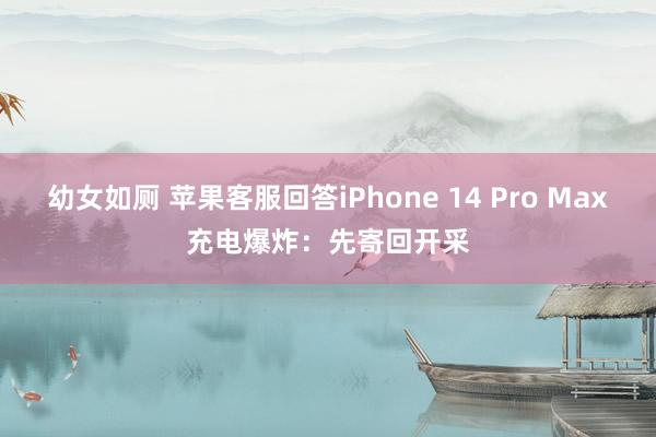 幼女如厕 苹果客服回答iPhone 14 Pro Max充电爆炸：先寄回开采