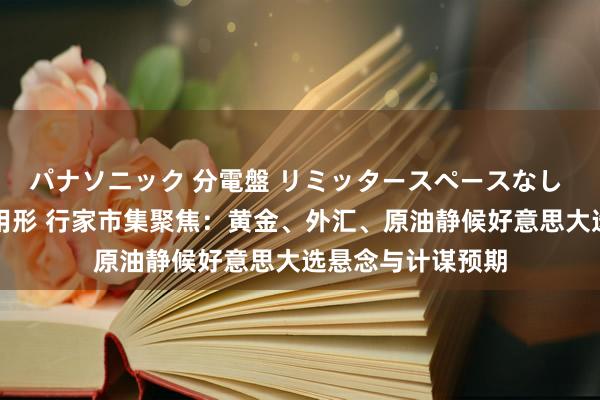 パナソニック 分電盤 リミッタースペースなし 露出・半埋込両用形 行家市集聚焦：黄金、外汇、原油静候好意思大选悬念与计谋预期