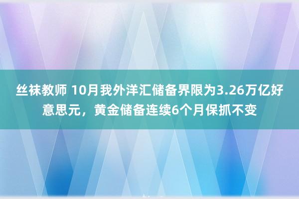 丝袜教师 10月我外洋汇储备界限为3.26万亿好意思元，黄金储备连续6个月保抓不变