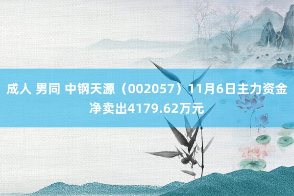 成人 男同 中钢天源（002057）11月6日主力资金净卖出4179.62万元