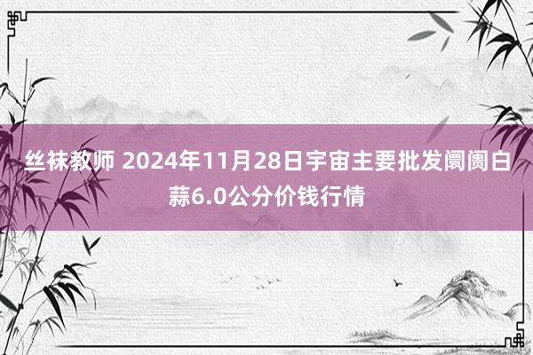 丝袜教师 2024年11月28日宇宙主要批发阛阓白蒜6.0公分价钱行情