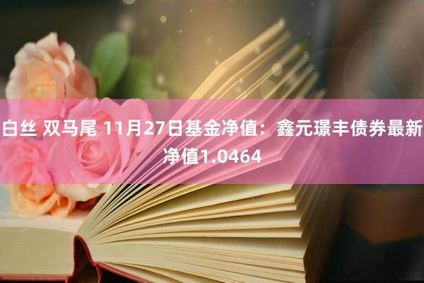 白丝 双马尾 11月27日基金净值：鑫元璟丰债券最新净值1.0464