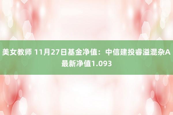 美女教师 11月27日基金净值：中信建投睿溢混杂A最新净值1.093