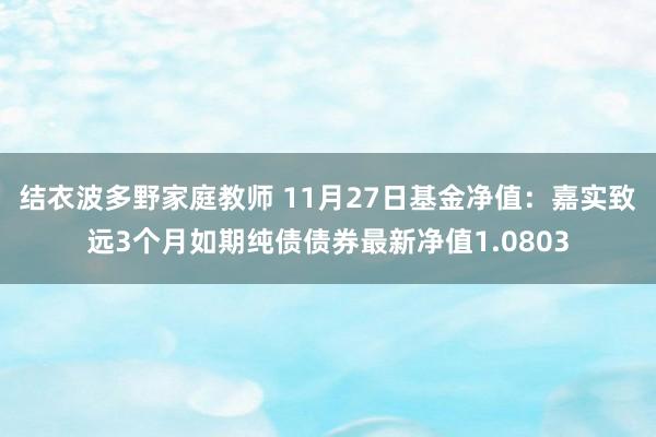 结衣波多野家庭教师 11月27日基金净值：嘉实致远3个月如期纯债债券最新净值1.0803