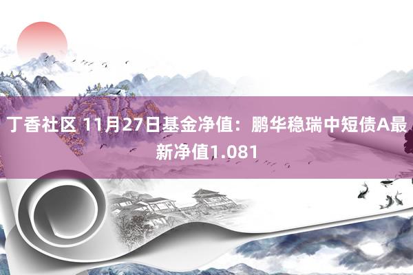 丁香社区 11月27日基金净值：鹏华稳瑞中短债A最新净值1.081