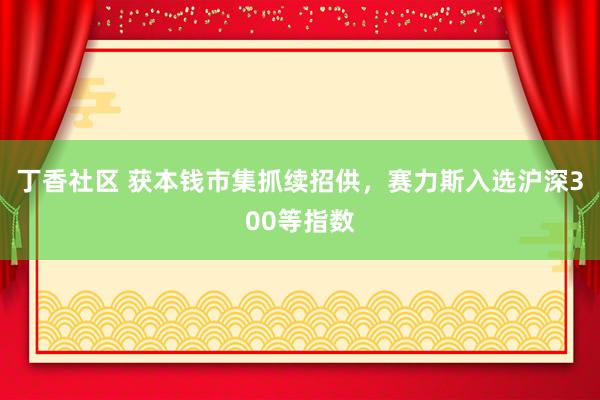 丁香社区 获本钱市集抓续招供，赛力斯入选沪深300等指数