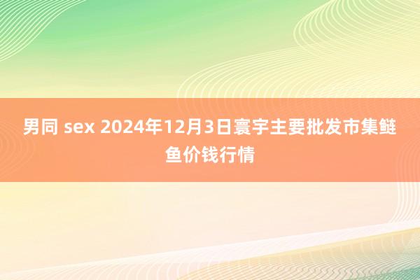 男同 sex 2024年12月3日寰宇主要批发市集鲢鱼价钱行情