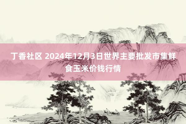 丁香社区 2024年12月3日世界主要批发市集鲜食玉米价钱行情