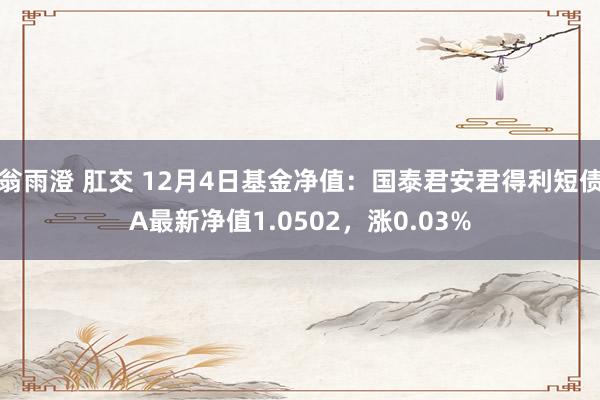 翁雨澄 肛交 12月4日基金净值：国泰君安君得利短债A最新净值1.0502，涨0.03%