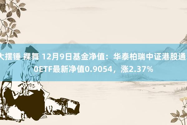 大摆锤 裸舞 12月9日基金净值：华泰柏瑞中证港股通50ETF最新净值0.9054，涨2.37%