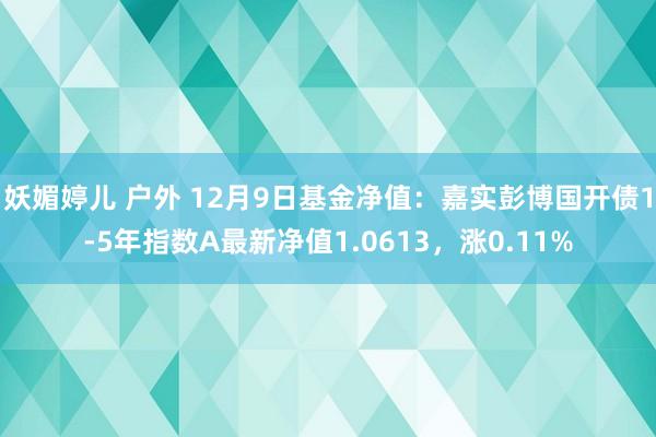 妖媚婷儿 户外 12月9日基金净值：嘉实彭博国开债1-5年指数A最新净值1.0613，涨0.11%