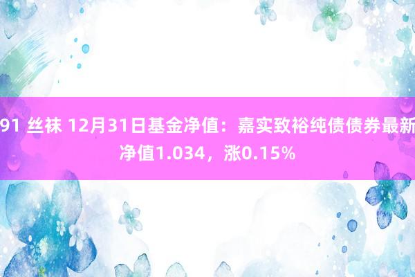 91 丝袜 12月31日基金净值：嘉实致裕纯债债券最新净值1.034，涨0.15%