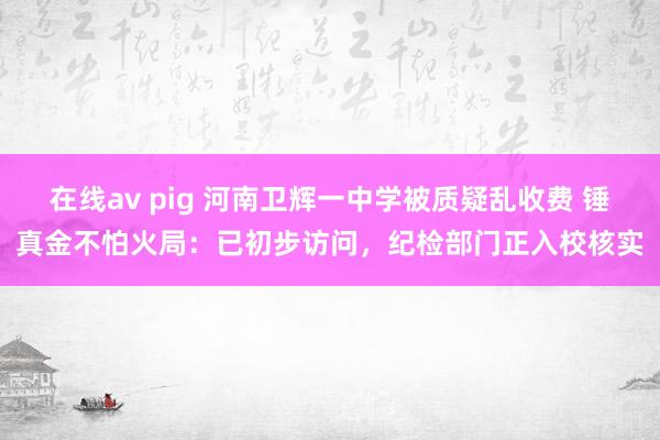 在线av pig 河南卫辉一中学被质疑乱收费 锤真金不怕火局：已初步访问，纪检部门正入校核实